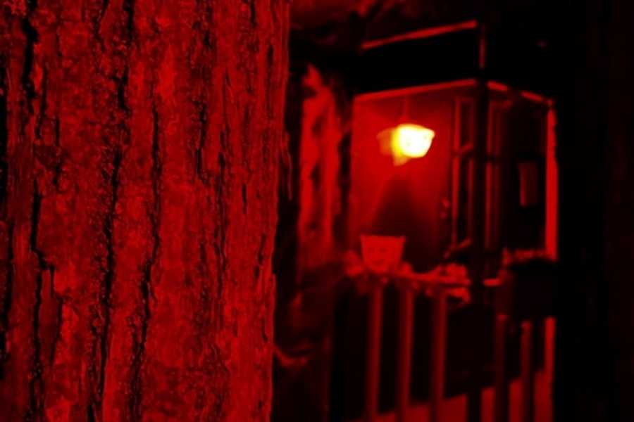 Квест в реальности Дом Майкла Майерса от компании Nosferatu Квест в реальности Дом Майкла Майерса от компании Nosferatu